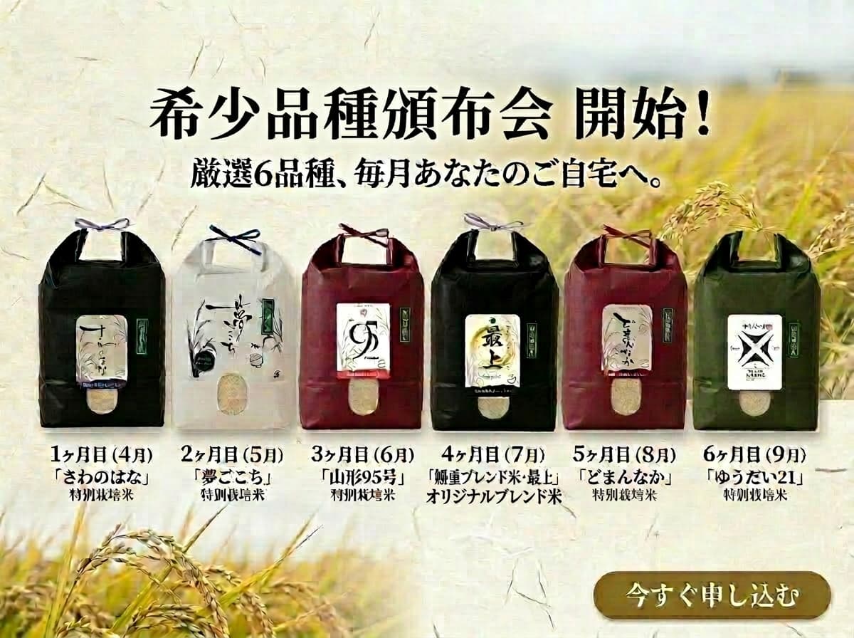 希少品種頒布会6ヶ月