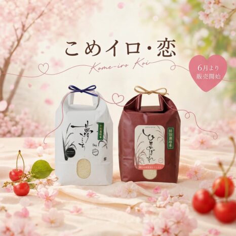 こめイロ・恋5kgセット