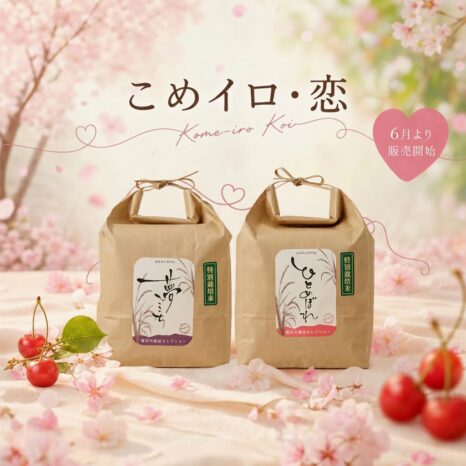 こめイロ恋3kg
